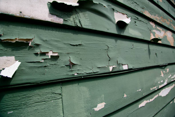 Best Wood Siding Installation  in Silver Lake, NJ