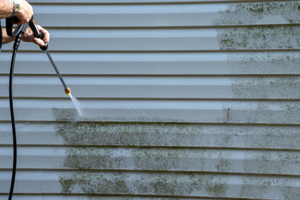 Best Siding Painting and Refinishing  in Silver Lake, NJ