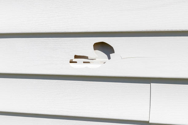 Best Custom Siding Design  in Silver Lake, NJ