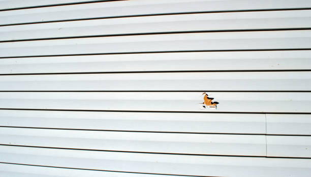 Best Siding Removal and Disposal  in Silver Lake, NJ