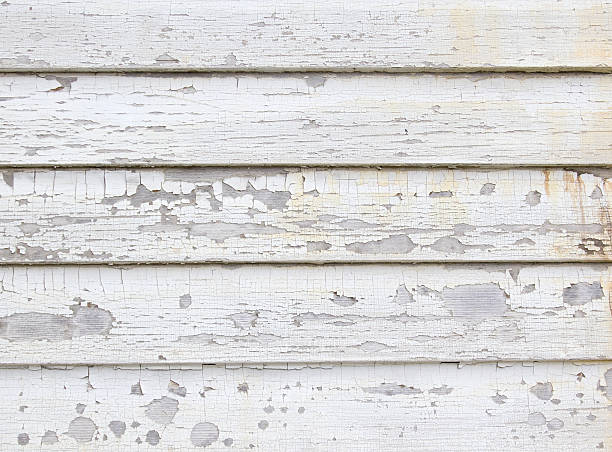 Best Custom Siding Design  in Silver Lake, NJ